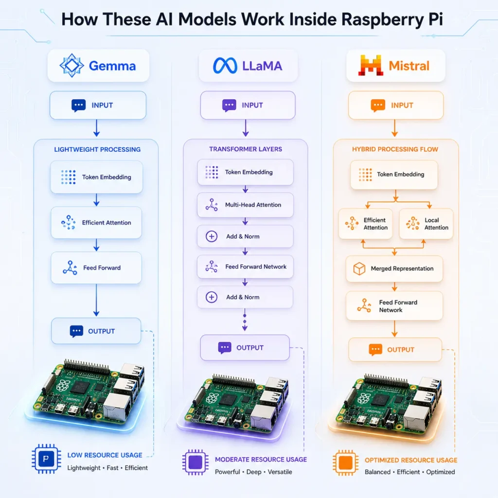 How AI models work on Raspberry Pi showing architecture differences between Gemma, LLaMA, and Mistral processing pipelines